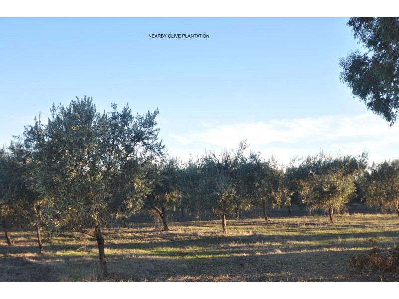 21 Folly Road, Frankland WA 6396