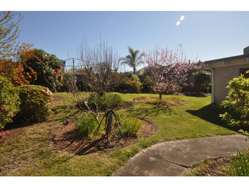 42 Jamieson Street, Pemberton WA 6260
