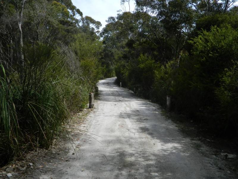 21 Sparsa Close, Northcliffe WA 6262