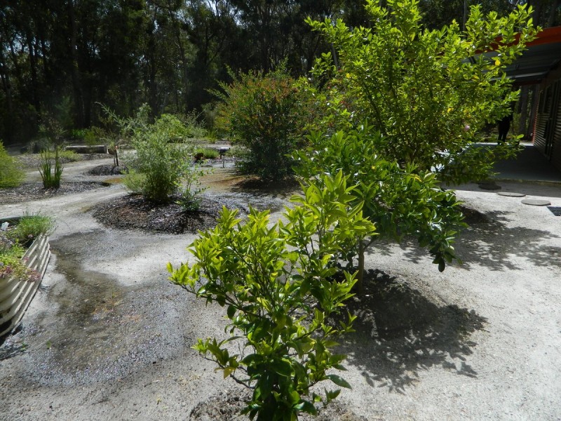 21 Sparsa Close, Northcliffe WA 6262