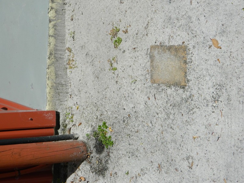 21 Sparsa Close, Northcliffe WA 6262