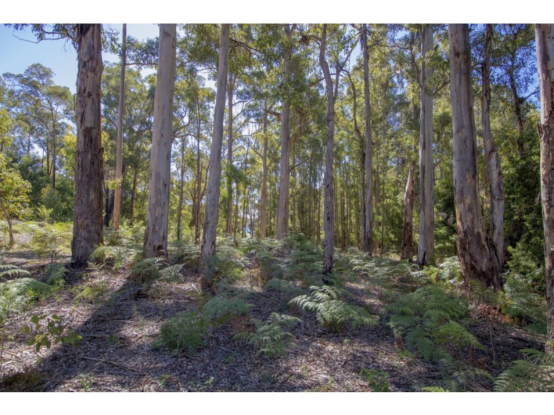 190 Karri Lane, Quinninup WA 6258