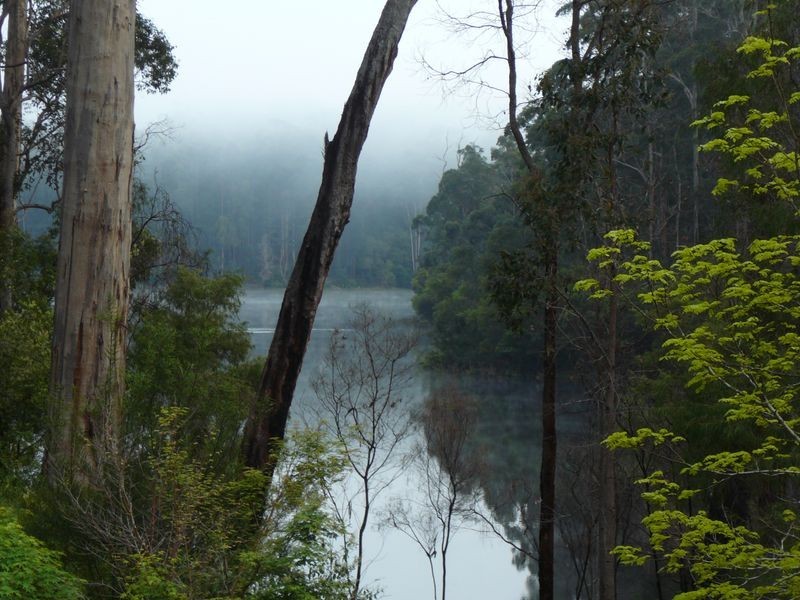 Lot 33 Karri Lane, Quinninup WA 6258