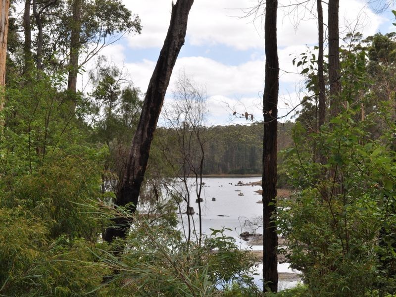 Lot 33 Karri Lane, Quinninup WA 6258