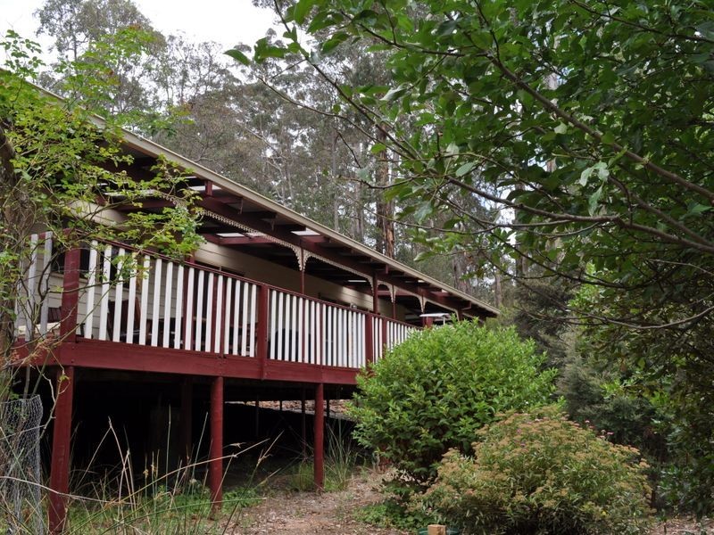 Lot 33 Karri Lane, Quinninup WA 6258