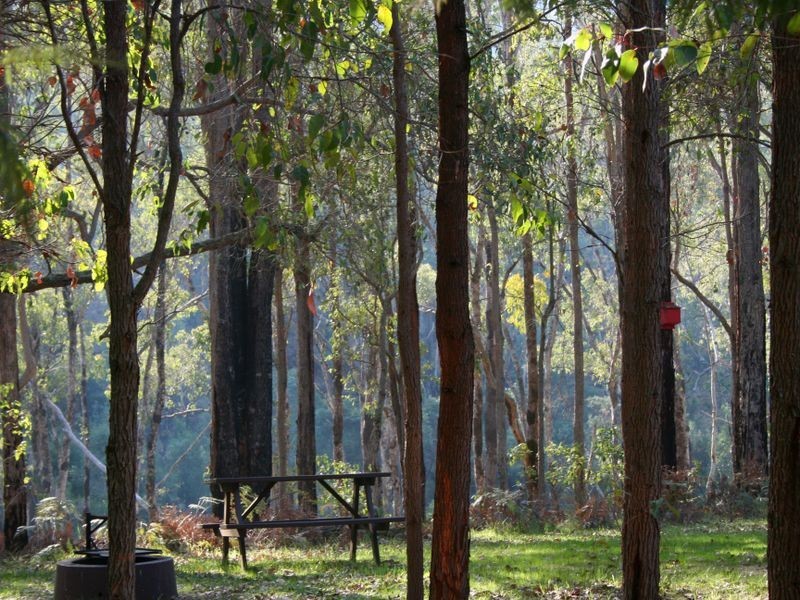 Lot 10 Balingup Road, Nannup WA 6275