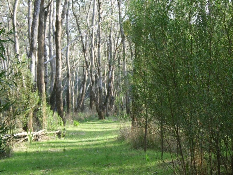 Lot 10 Balingup Road, Nannup WA 6275