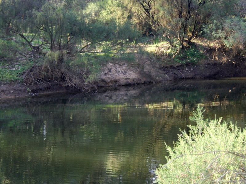 Lot 10 Balingup Road, Nannup WA 6275