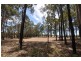 15 Seven Day Road, Manjimup WA 6258