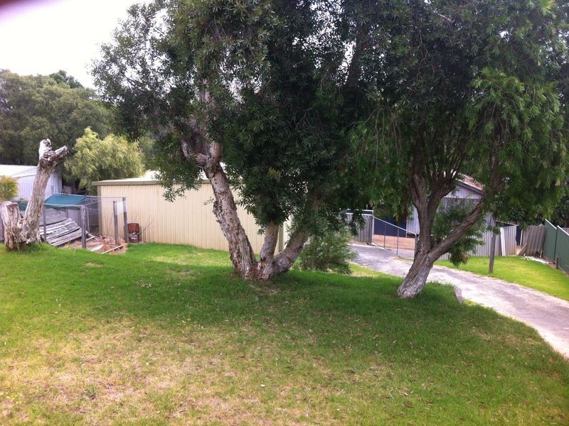 29 Jamieson Street, Pemberton WA 6260