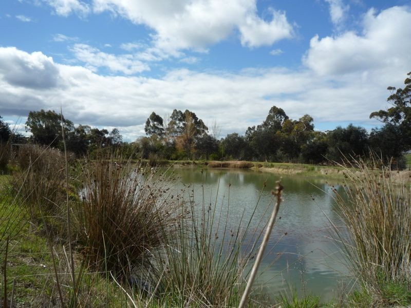 39 Becker Street, Manjimup WA 6258