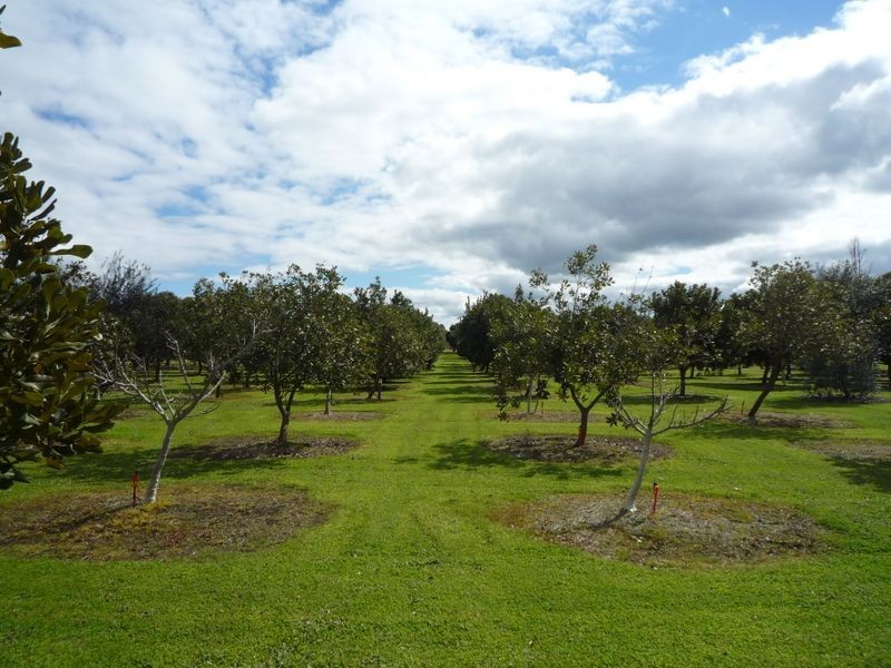 39 Becker Street, Manjimup WA 6258