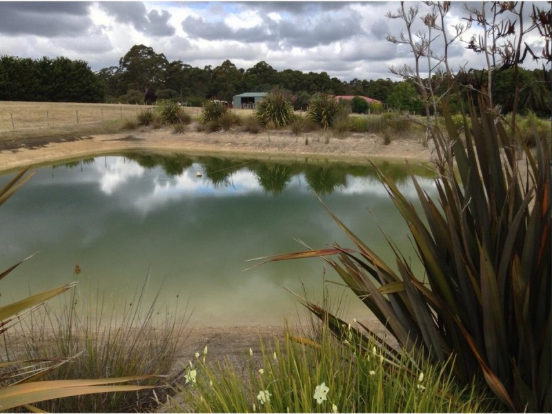 214 Browns Road, Pemberton WA 6260