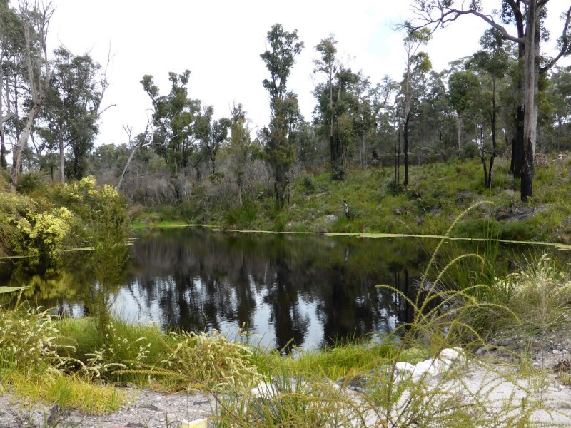 7002 Windy Harbour Road (Meerup), Northcliffe WA 6262