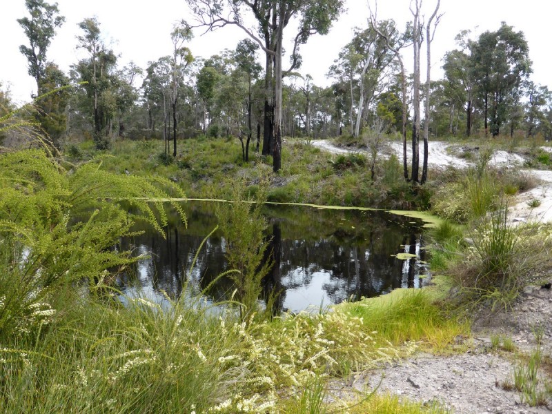 7002 Windy Harbour Road (Meerup), Northcliffe WA 6262