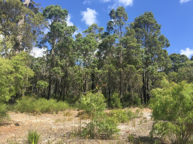 7002 Windy Harbour Road (Meerup), Northcliffe WA 6262