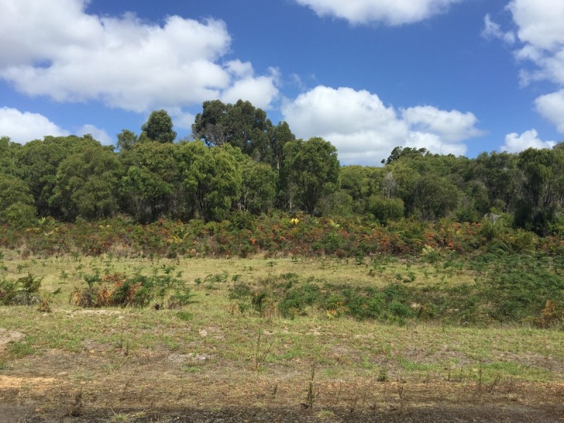 7002 Windy Harbour Road (Meerup), Northcliffe WA 6262