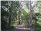 Lot 12713 Tomlinson Road, Pemberton WA 6260