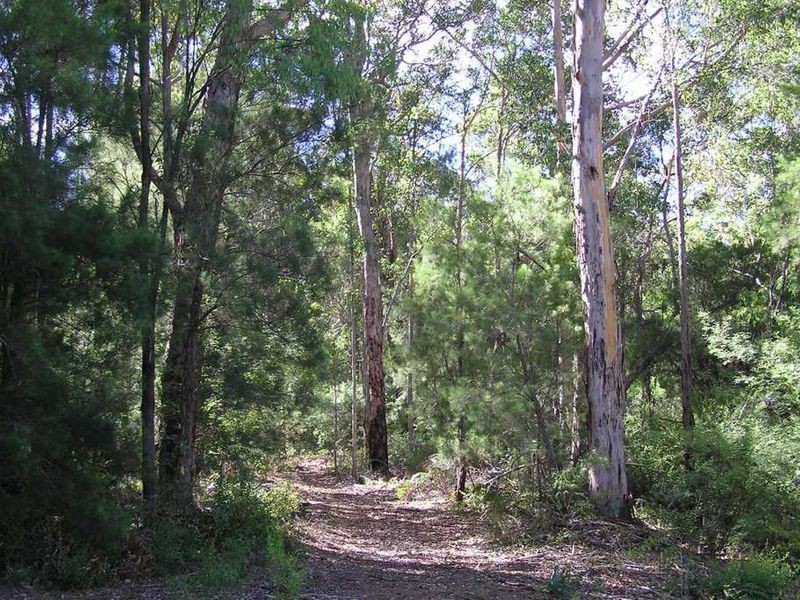 Lot 12713 Tomlinson Road, Pemberton WA 6260