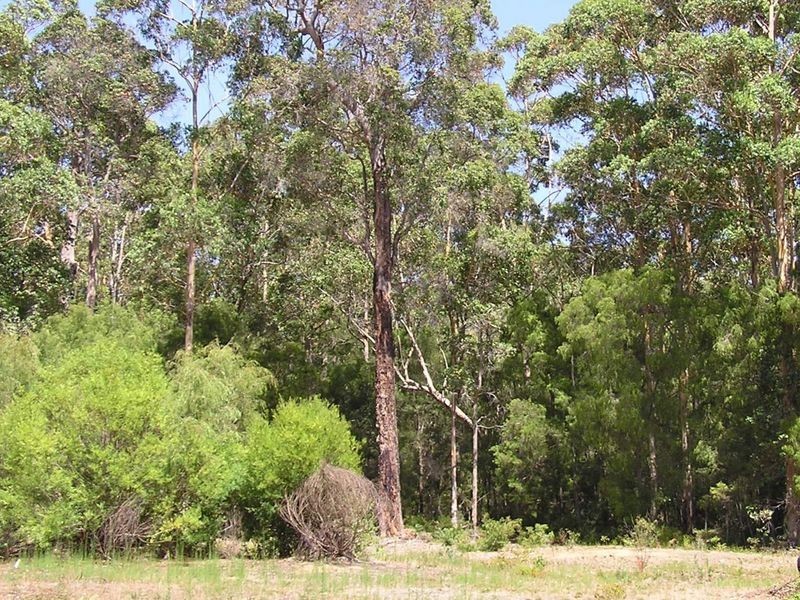 Lot 12713 Tomlinson Road, Pemberton WA 6260