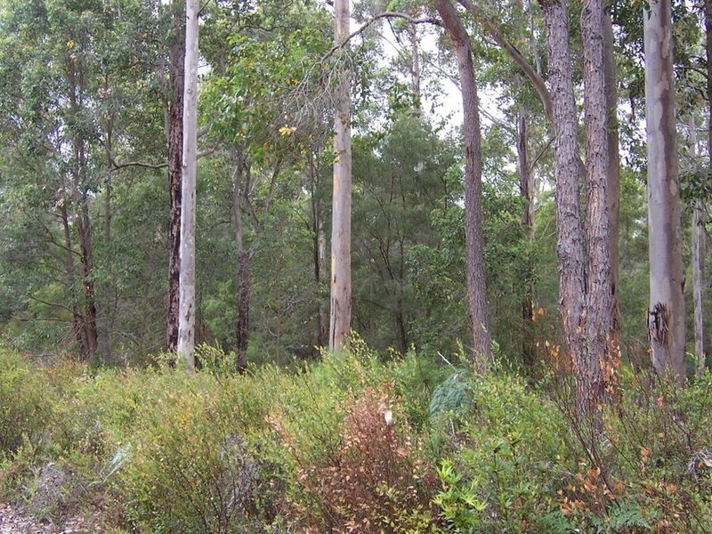 Lot 12713 Tomlinson Road, Pemberton WA 6260