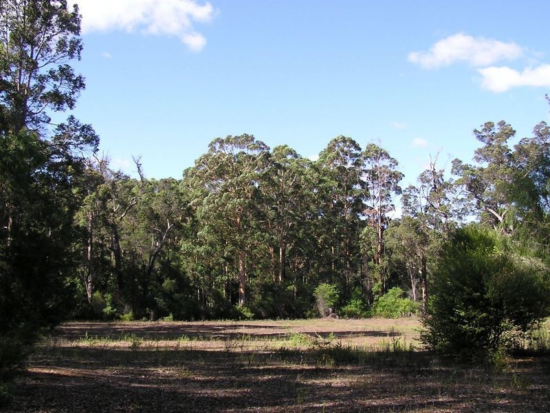 Lot 12713 Tomlinson Road, Pemberton WA 6260