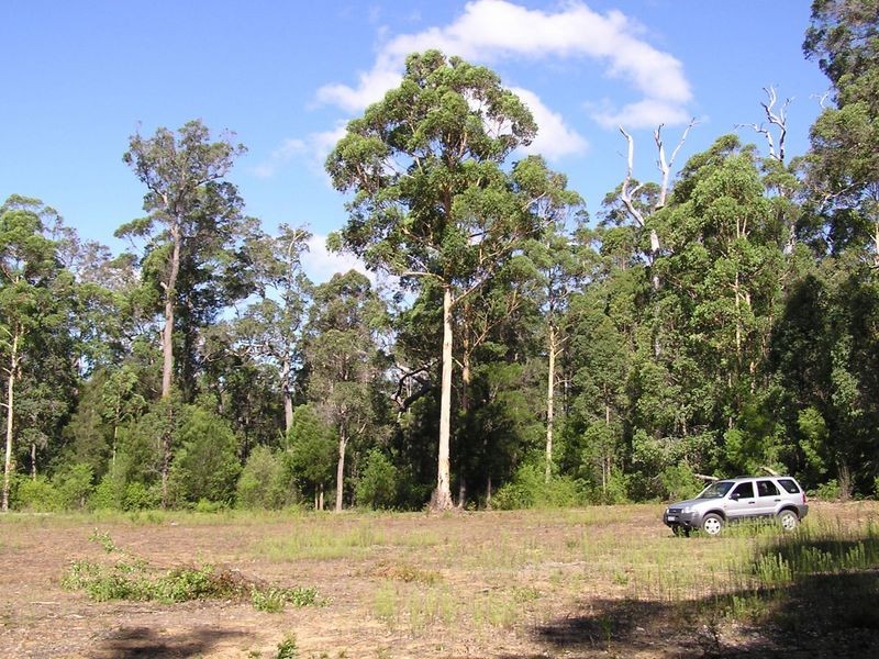 Lot 12713 Tomlinson Road, Pemberton WA 6260