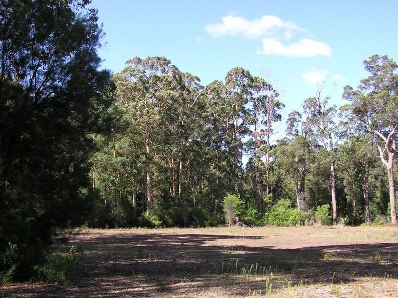 Lot 12713 Tomlinson Road, Pemberton WA 6260