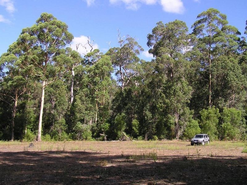 Lot 12713 Tomlinson Road, Pemberton WA 6260