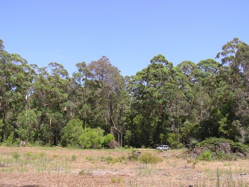 Lot 12713 Tomlinson Road, Pemberton WA 6260