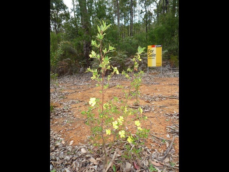 Lot 69 Rainbow Trout Retreat, Quinninup WA 6258