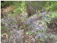 Lot 69 Rainbow Trout Retreat, Quinninup WA 6258
