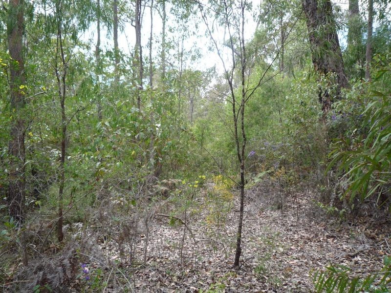 Lot 69 Rainbow Trout Retreat, Quinninup WA 6258