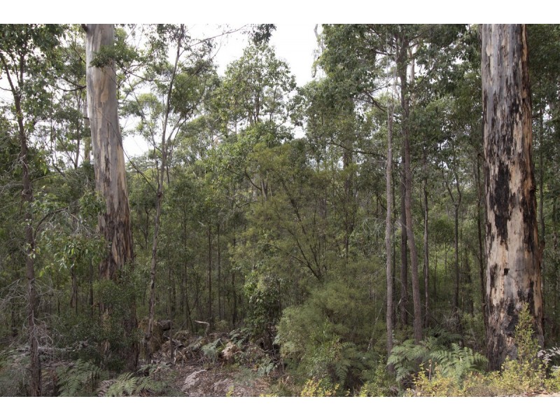 75 Karri Lane, Quinninup WA 6258