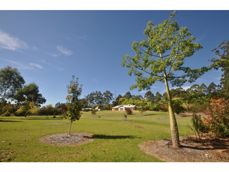 133 Browns Road, Pemberton WA 6260