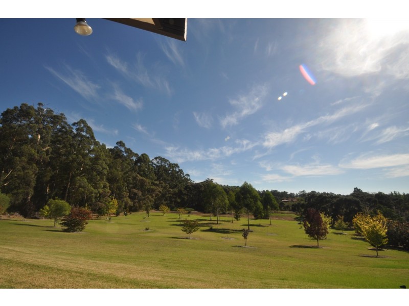 133 Browns Road, Pemberton WA 6260