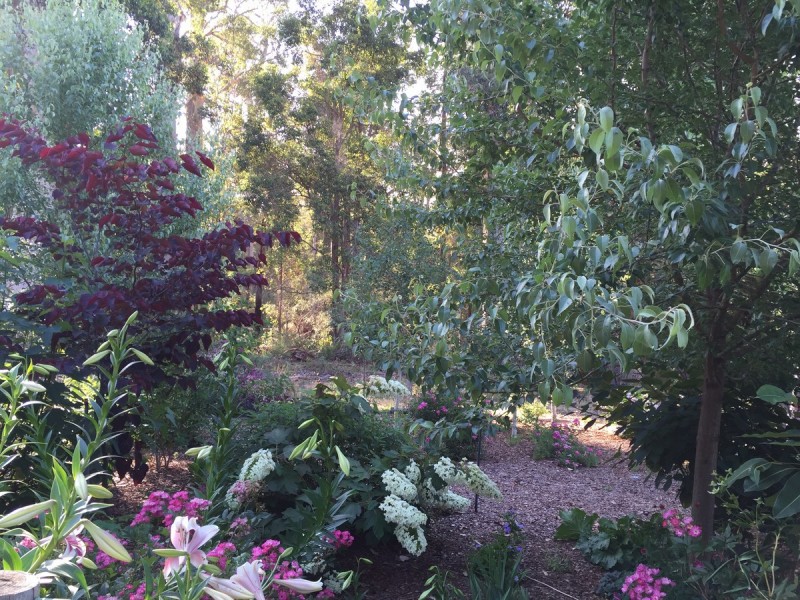 133 Browns Road, Pemberton WA 6260