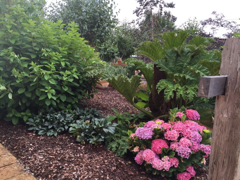 133 Browns Road, Pemberton WA 6260