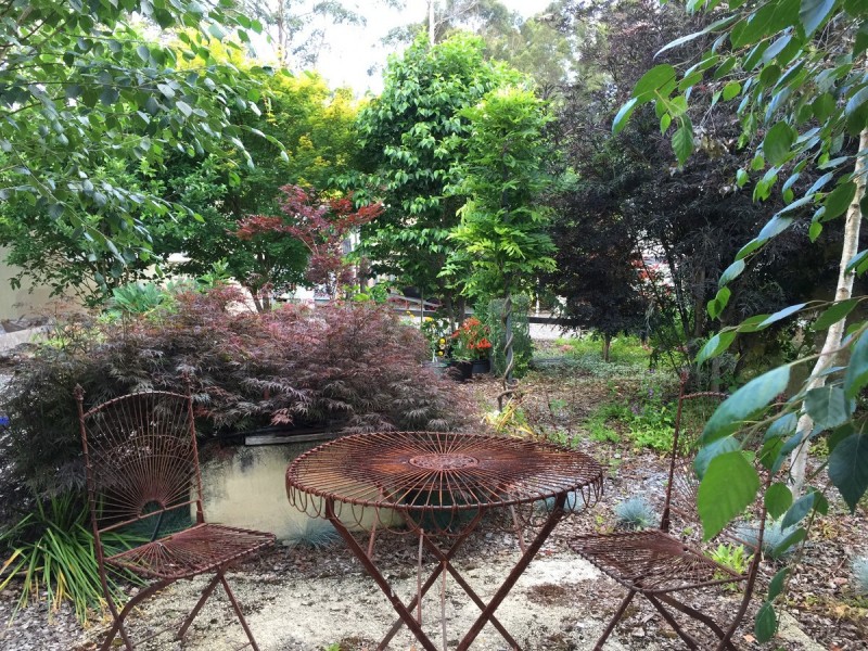 133 Browns Road, Pemberton WA 6260