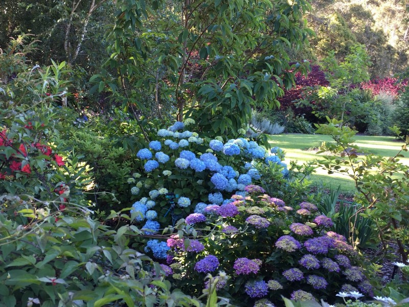 133 Browns Road, Pemberton WA 6260