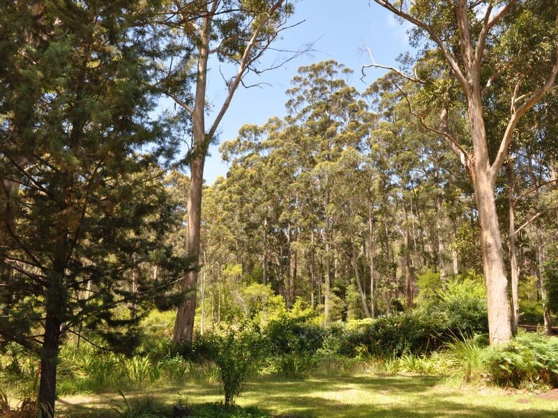 11 Dickinson Road, Pemberton WA 6260