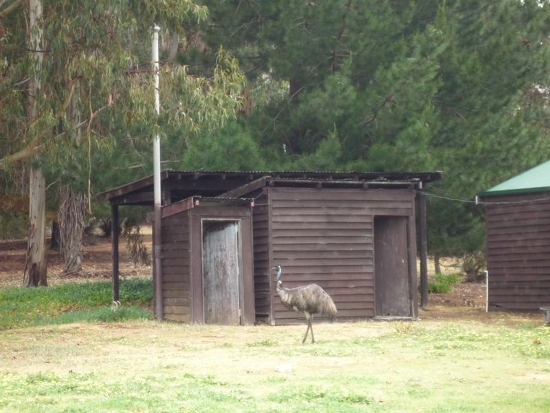 Cottage 10 Nyamup Mill Town Holiday Village, Pemberton WA 6260
