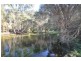 Lot 11 Roberts Road (Yeagarup), Pemberton WA 6260