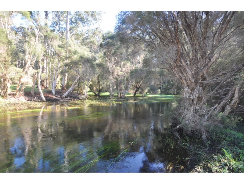 Lot 11 Roberts Road (Yeagarup), Pemberton WA 6260