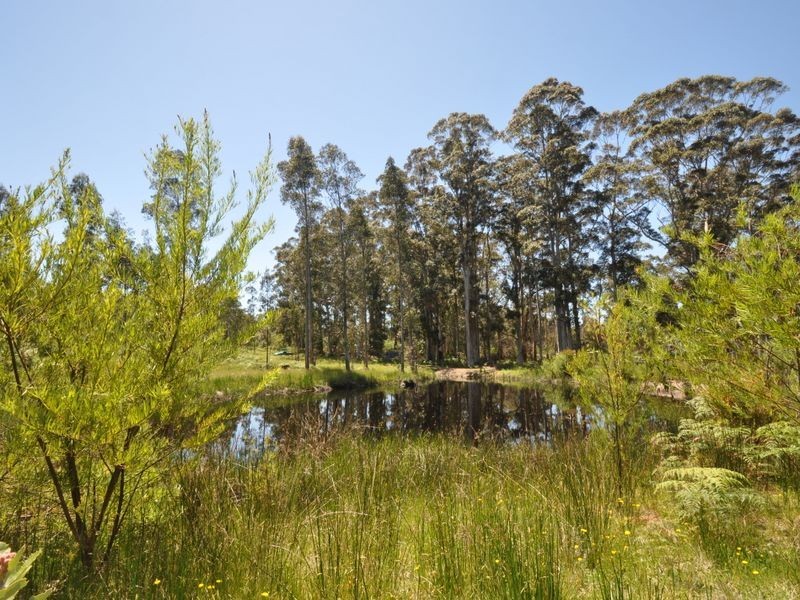 34 Woylie Road, Northcliffe WA 6262