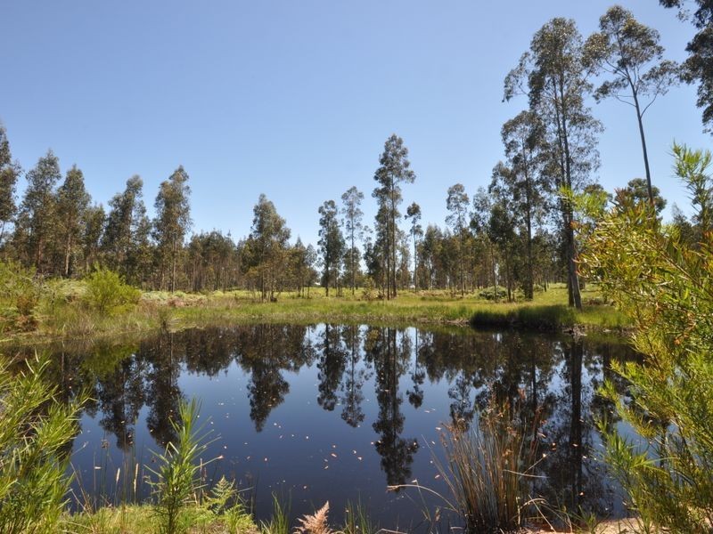 34 Woylie Road, Northcliffe WA 6262