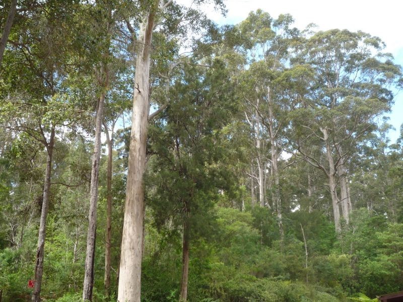 Chalet 8 Warren River Resort, Pemberton WA 6260