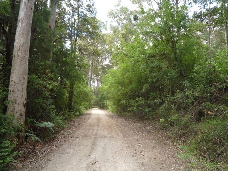 Chalet 8 Warren River Resort, Pemberton WA 6260