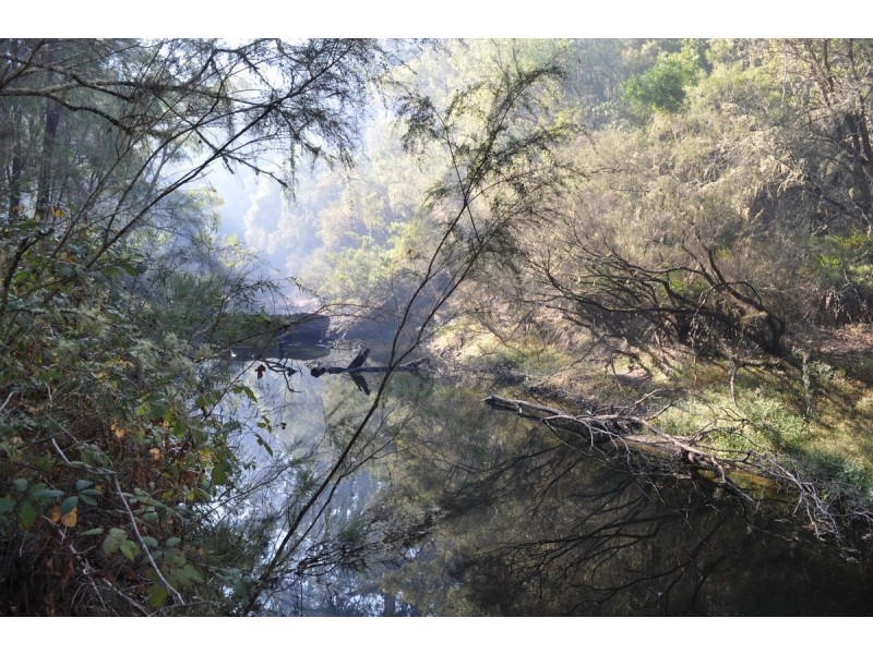 341 Piggott Road (Collins), Pemberton WA 6260