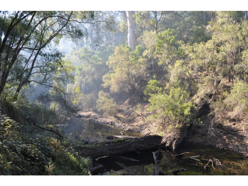 341 Piggott Road (Collins), Pemberton WA 6260